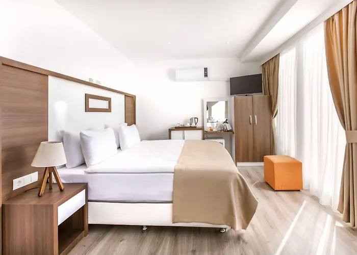Demir Hotel 3*